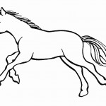 Dibujos para colorear niños Dentista Barrio Salamanca Madrid